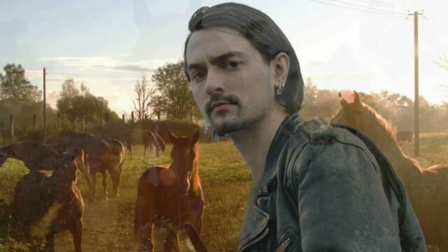 СЕРГЕЙ ЯРЕМЕНКО   -   КОНИ.