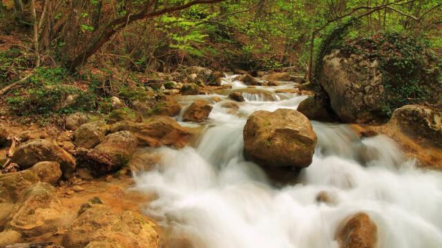 Отличная музыка для души. Расслабляющая, мелодичная музыка. Сборник красивых песен Сергей Грищук...