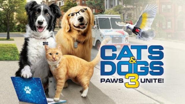 Котки и кучета 3: Лапи, обединявайте се! (синхронен екип, дублаж на студио Медиа Линк, 12.05.2022 г.) (запис)