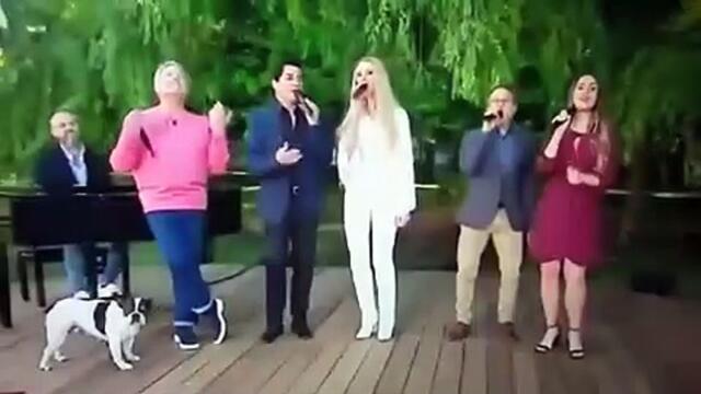 Cão de Marco Paulo ataca perna do cantor