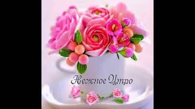 Прекрасного утра!!!