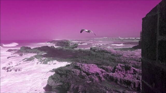 Людмила Бурачевская   -    Окрасился месяц багрянцем