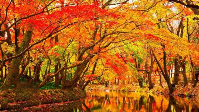 Самая Лучшая Музыка Для Снятия Усталости!