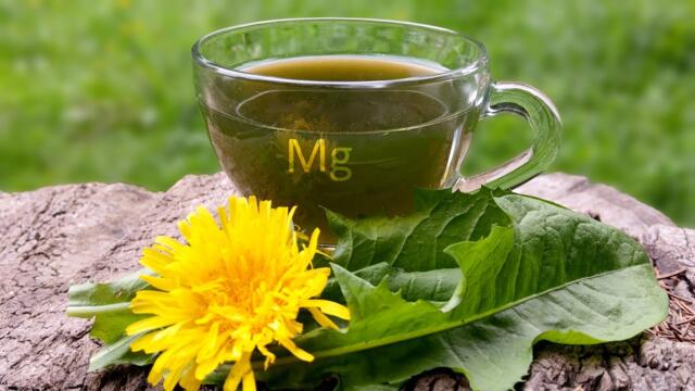 How to Make the Most Healthy Dandelion Green Coffee