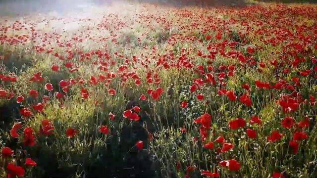 SUNRISE MEDITATION - MANIFEST YOUR GOAL - AMBIENT FREE MUSIC