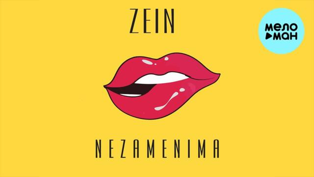 ZEIN - NEZAMENIMA