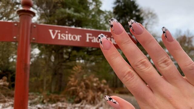 ASMR | Tapping, Air tracing & Scratching Outside in the Snow ❄️