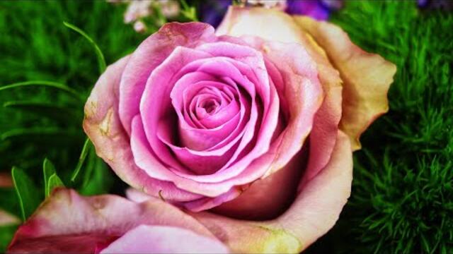 Красивая музыка Сергей Грищук!