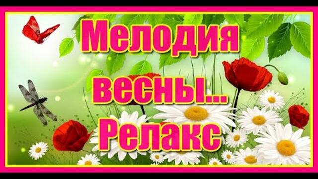 Мелодия весны... Релакс... Красивая музыка Сергея Чекалина.