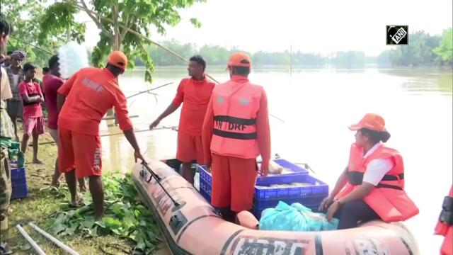 Assam flood: NDRF team carries out search, rescue operations
