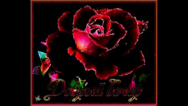 Нежного  вечера!   Вера  Верба  -  Розы  Алые