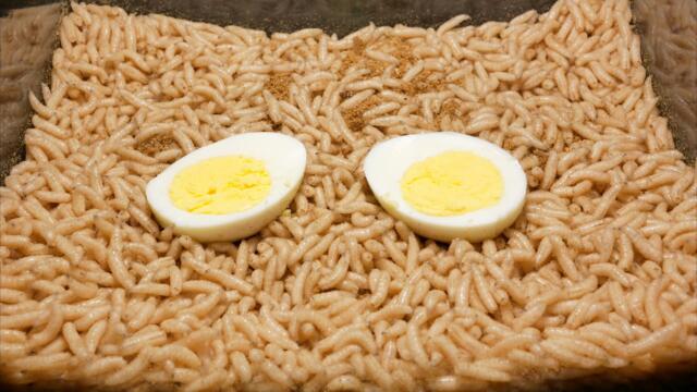 Time Lapse: Maggots vs Strawberries & Eggs