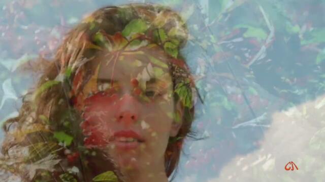 В.ЦЕПЛИЕНКОВ  -  У РУЧЬЯ КАЛИНА.