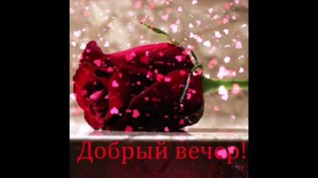 Приятного  вечера!     Татьяна  Решетняк   -   Люблю