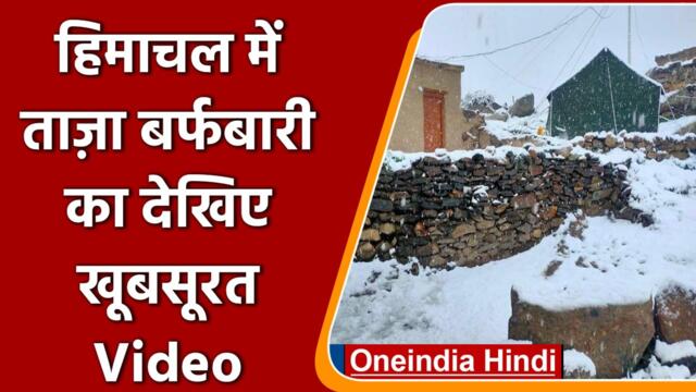 Himachal Pradesh:  Lahaul-Spiti  इलाके में ताजा बर्फबारी | #Shorts | वनइंडिया हिंदी