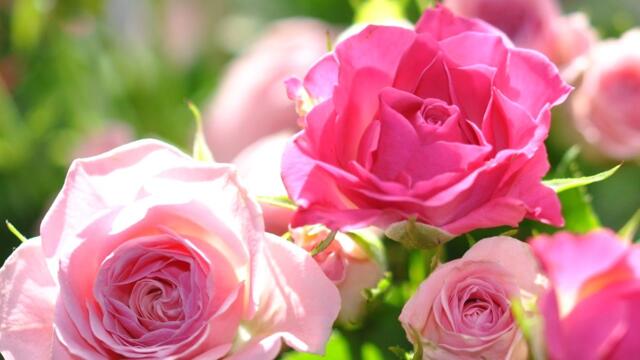 Самая Лучшая Музыка Для Снятия Усталости! Можно слушать Бесконечно!