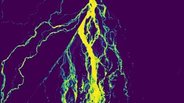 Avulsión del Río Kosi (2008)