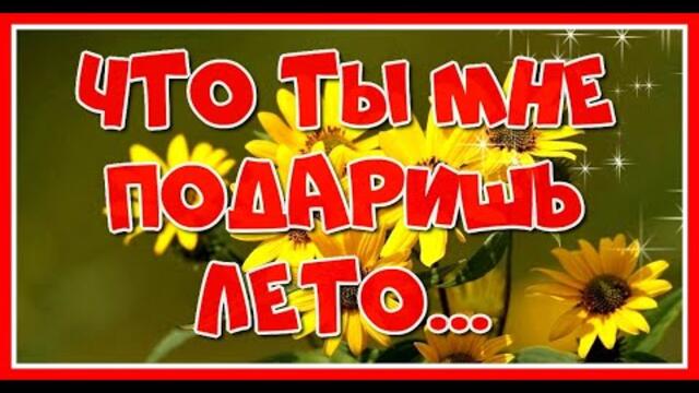 "Что ты мне подаришь лето..."