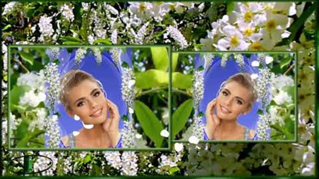 БЕЛАЯ ЧЕРЁМУХА ВЕСНЫ !