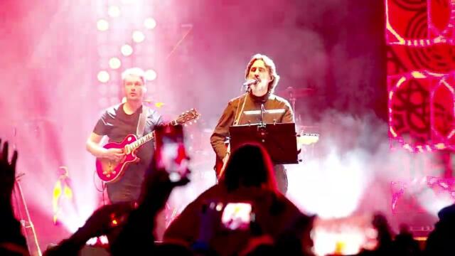 Одинокая птица