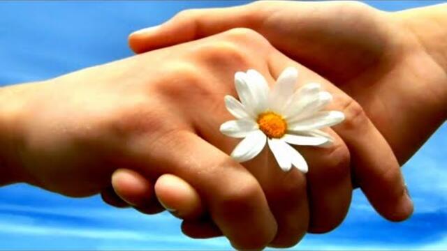 Валерий Власов ★ Ромашка Белая.