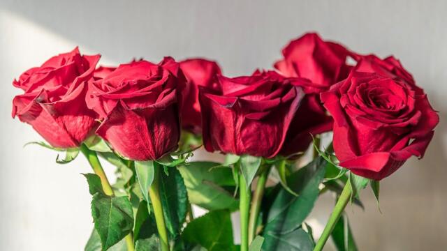 Самая Красивая Музыка До слез! Эту музыку можно слушать вечно! музыка для души