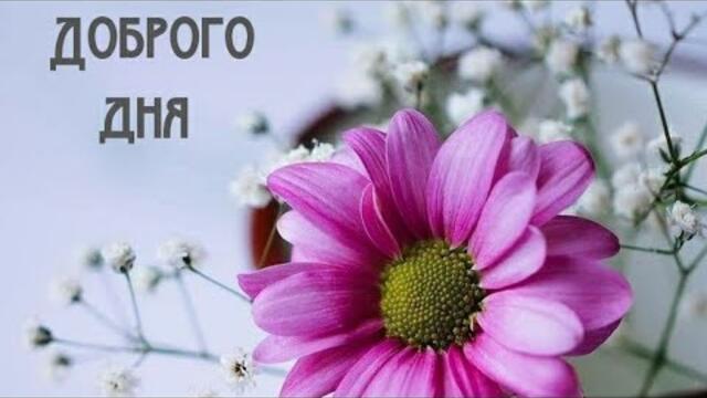 ХОРОШЕГО ДНЯ ВСЕМ, ДОРОГИЕ|