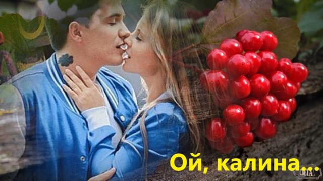 Ой, калина!