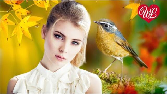 Иван Ильичев, Екатерина Броодская   -   СОЛОВЬИ ПОЮТ ЗАЛИВАЮТСЯ ♥ УДАЧНЫЕ ДАЧНЫЕ ПЕСНИ НА РАДИО ДАЧА