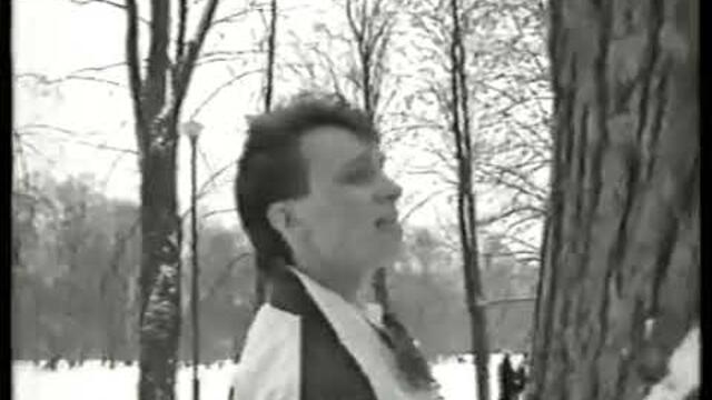 Андрей Разин - Старый лес