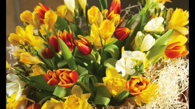 В. КОРОЛЁВ   -   С ДНЁМ РОЖДЕНИЯ, ДРУГ...