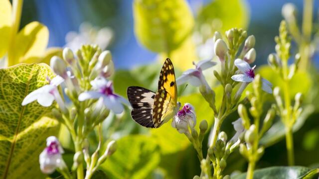 Музыка дающая энергию! Это Безумно Красивая Мелодия, Эту музыку можно слушать вечно