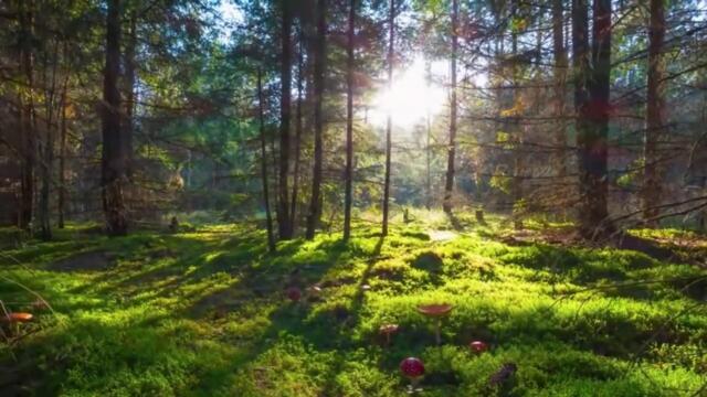 MUSIC REMOVES STRESS COVER by WDB