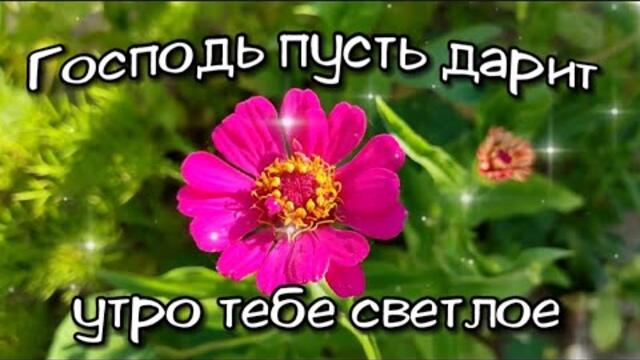 Доброе утречко! Хорошего дня! Прекрасного настроения на весь день