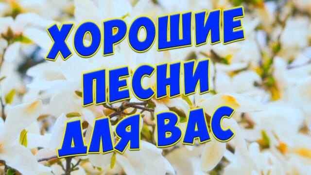 Сергей Одинцов / Заходи и Слушай.Красивые песни только для Вас.