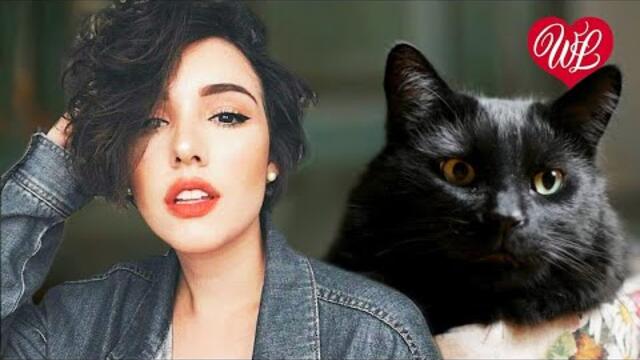 Людмила Шаронова    -    КОШКА