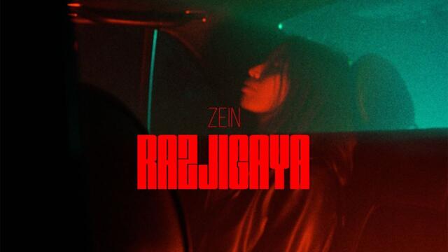 ZEIN - Разжигая
