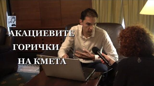 АКАЦИЕВИТЕ ГОРИЧКИ НА КМЕТА