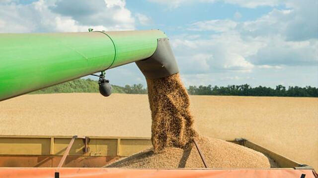 20 милиона тона пшеница остават блокирани в Украйна