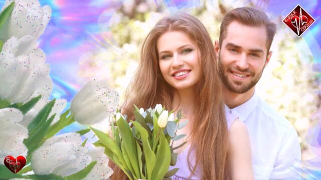 SEVENROSE & АЛЕНА РОСС - Белые тюльпаны