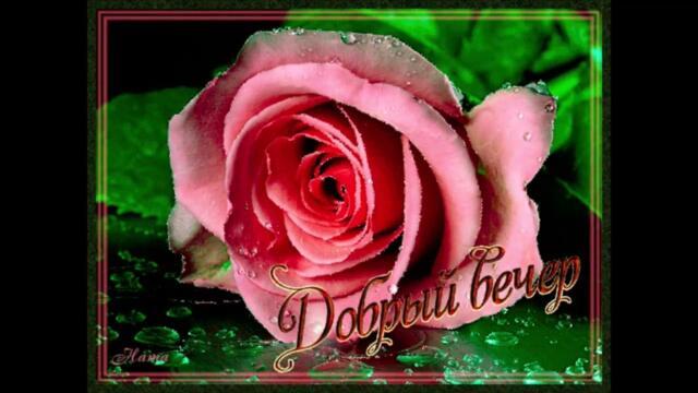 Добрый  вечер!    Катя  Баглаева  -  Выбирай