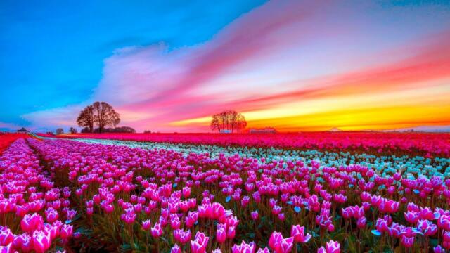 Божественная музыка трогает сердце! Невероятно красивая весна мелодия!Достаточно просто послушать!