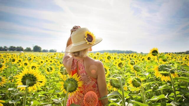 Эту музыку можно слушать вечно 🌷 Это Безумно Красивая Мелодия 🌷