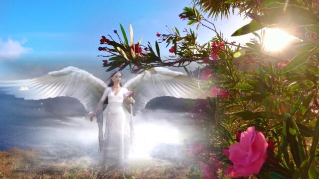 Аверьянов Сергей    -   Лебеди , Лебедушки  /  РОМАНТИКА