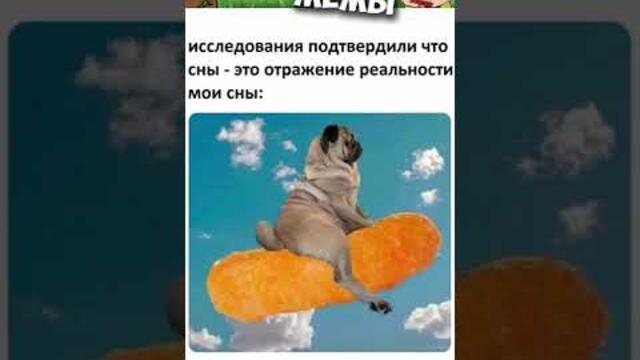 Лютые приколы и мемы #приколы #лютыеприколы #мемы2022 #юмор #мемыпро100 #мем #мемасы #мемчики #юмор