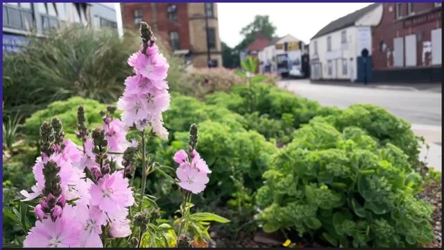 Leeds headlines 24 June 2022: Headteacher from Leeds dies after being struck by car