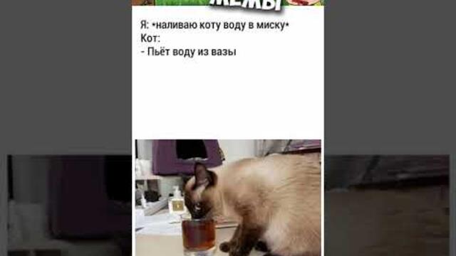 Мемы и лютые приколы #приколы #лютыеприколы #мемы2022 #юмор #озвучка