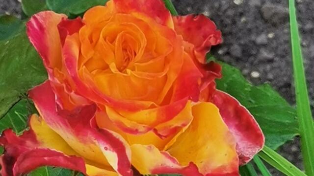 Для души расслабляющая музыка и Божественная красота природы...