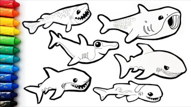 바다탐험대 옥토넛 상어 그리기 모음/33분 연속보기/Let’s draw and paint sharks / Octonauts/33minutes/색칠놀이// /1080p