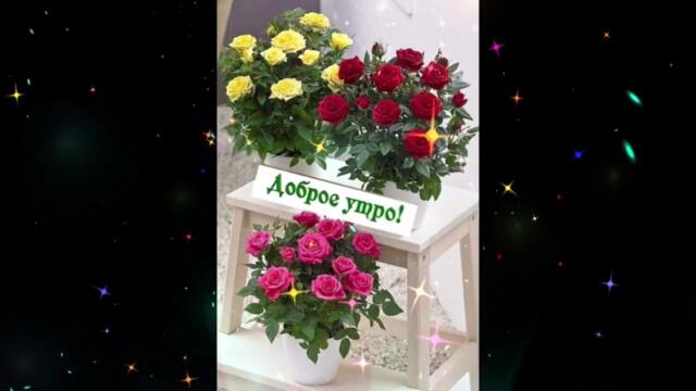 Доброе  утро!   Lizabeth & Viktoria  Belova  -  Ты  Просто  Попроси